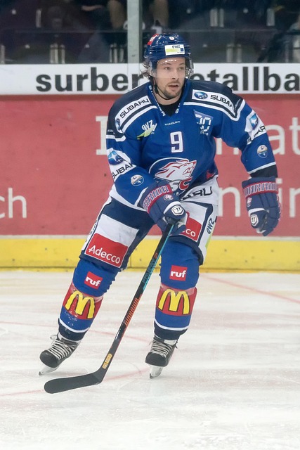 长期的观察 长期的观察